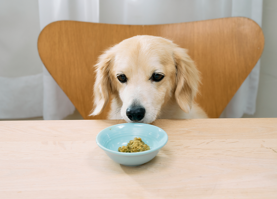 毎日の主食として楽しめるGOODISH