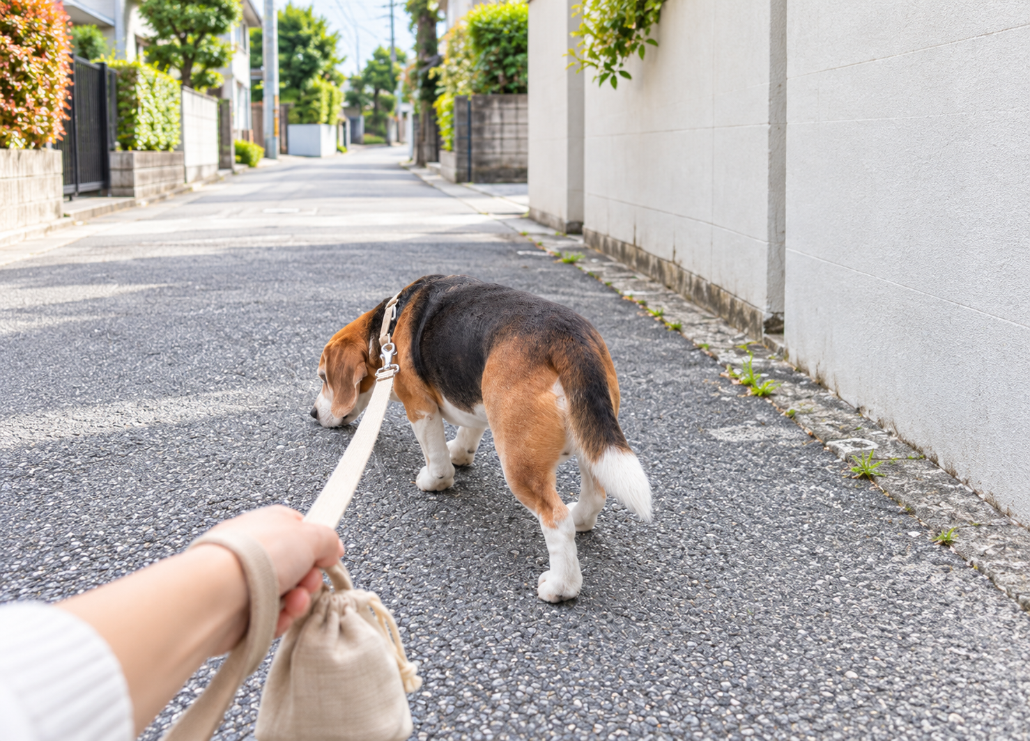 いい便って、どんな便だろう？