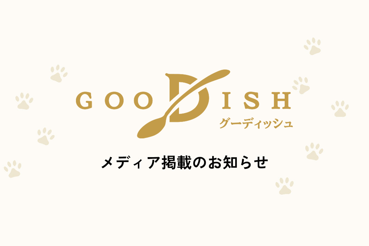 メディア掲載のお知らせ