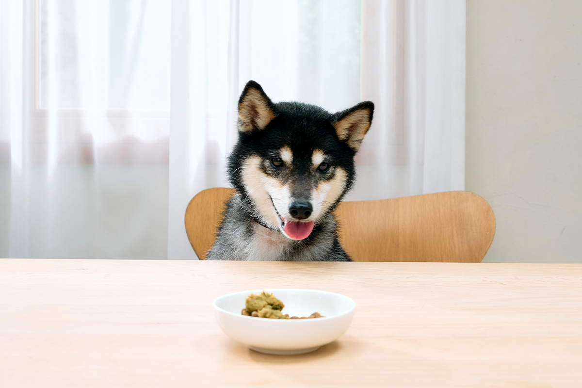 使うお肉を一種類に絞るのには、理由があります